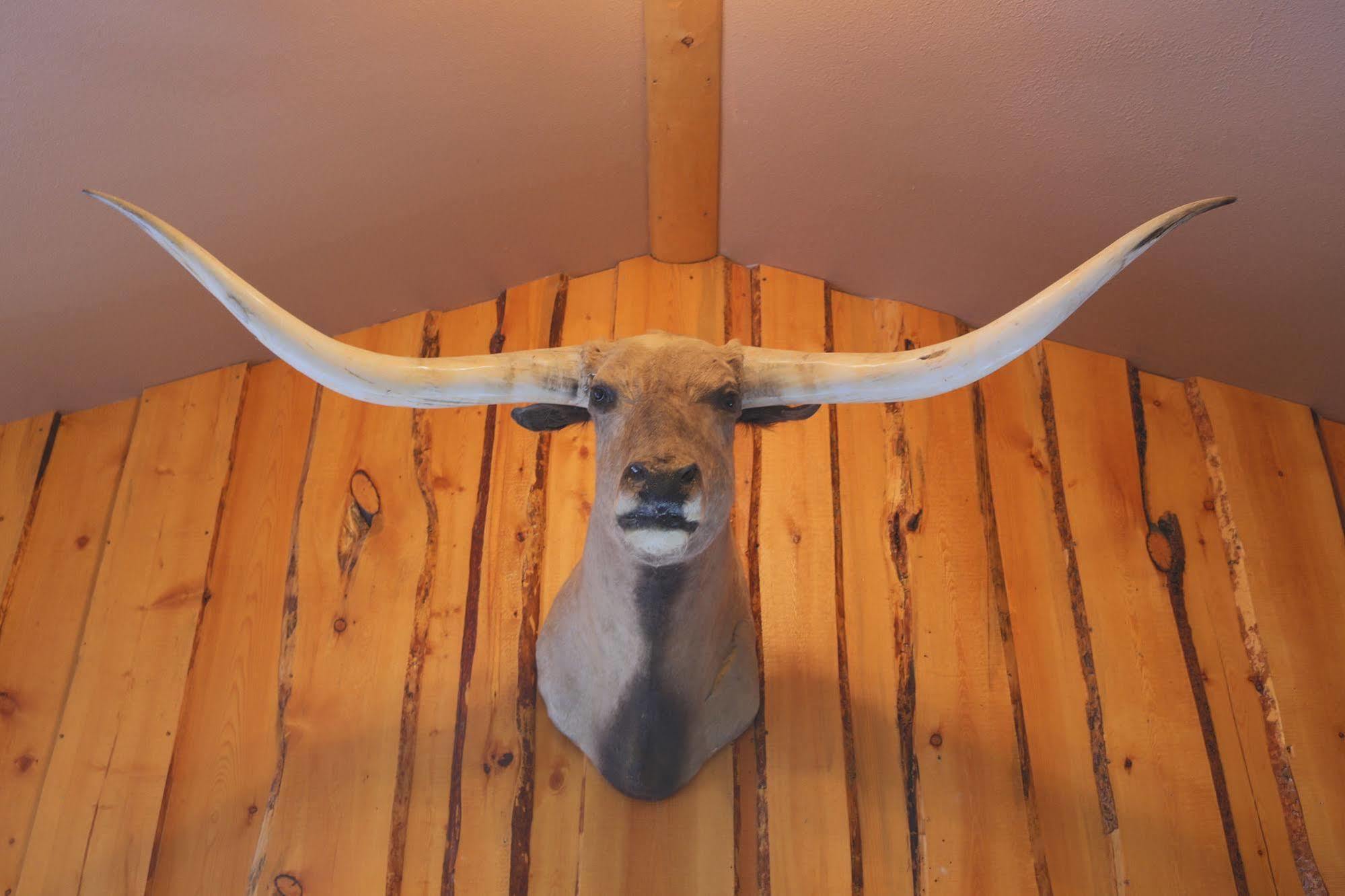 The Longhorn Ranch Resort Lodge & Rv Park Dubois Εξωτερικό φωτογραφία